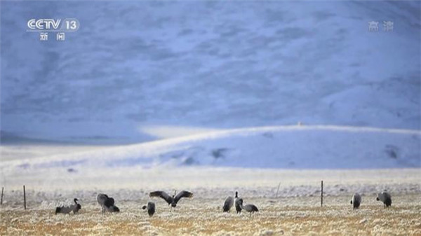 1623115712341467.jpg 1.jpg